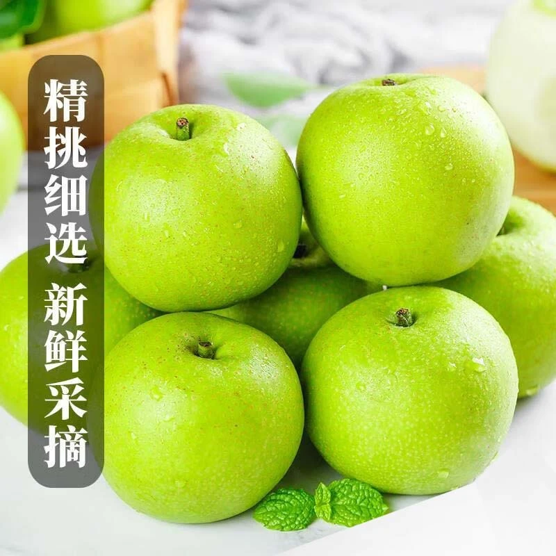 正宗安徽砀山酥脆一号青皮梨当季新鲜采摘梨子翠冠青梨产地直发