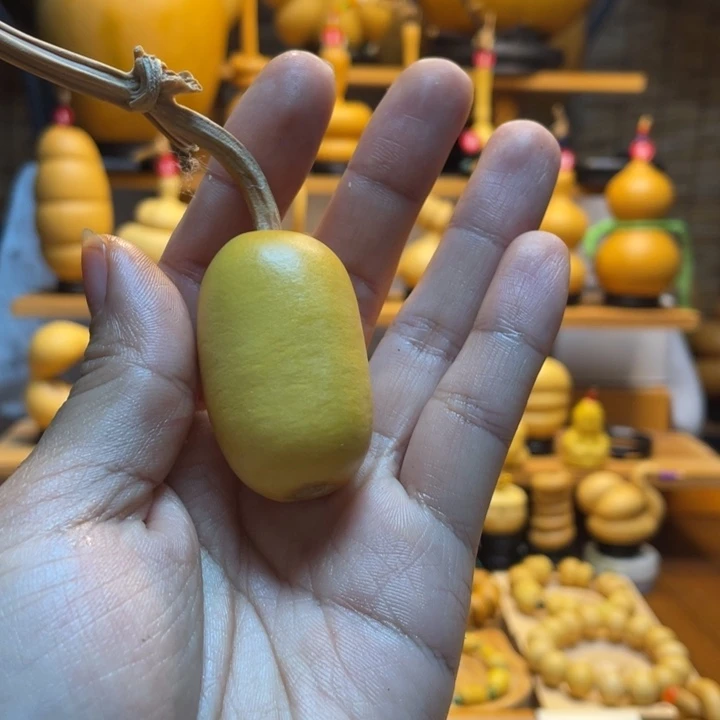 *****天然葫芦自然生长