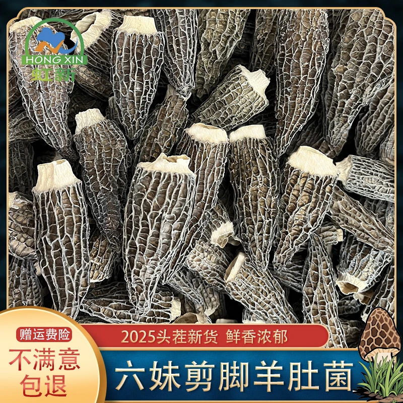 虹新干货全剪炳六妹羊肚菌 厚肉密纹 4到7厘米 2025头茬煲汤佳品
