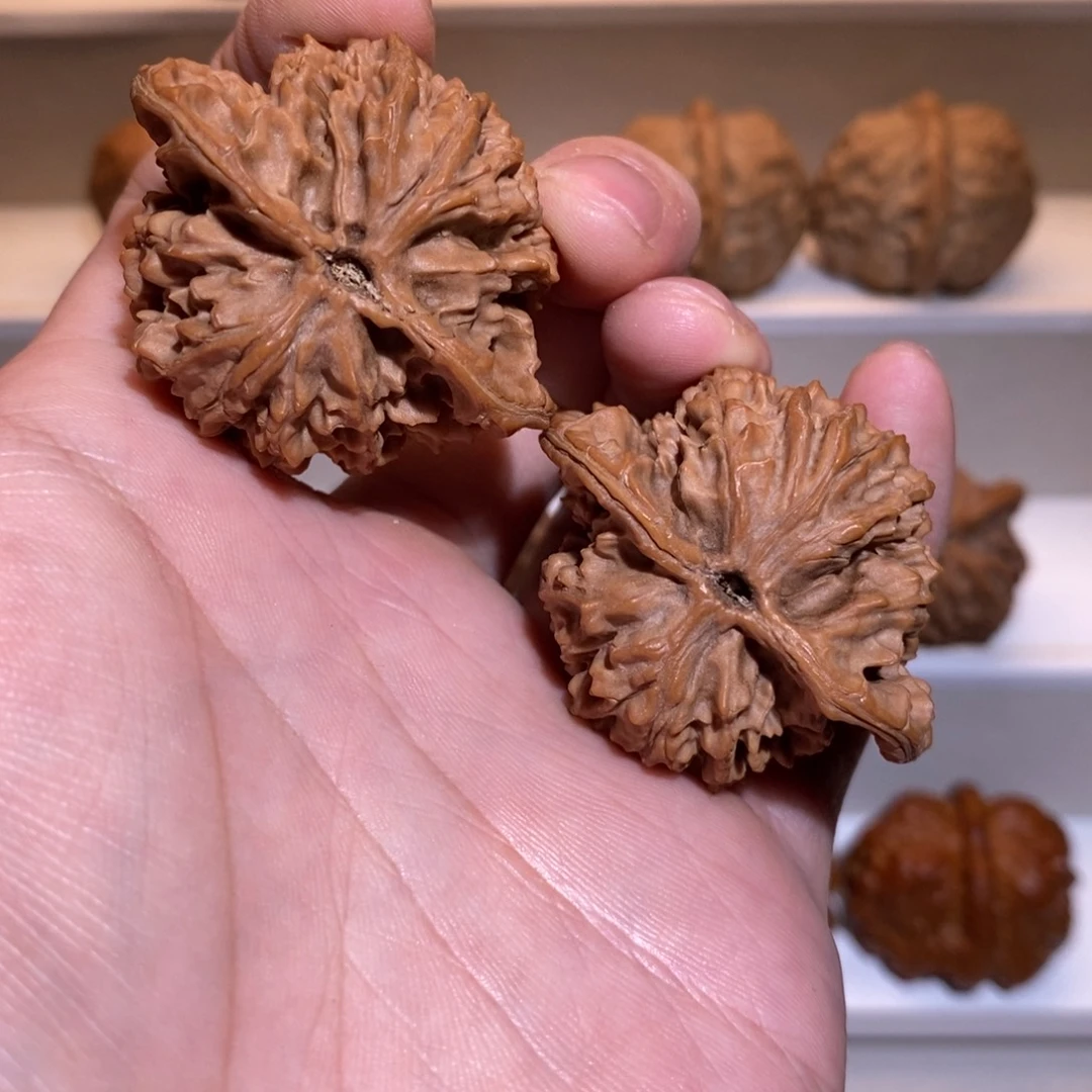 45尺 全品无修白茬 盘龙纹