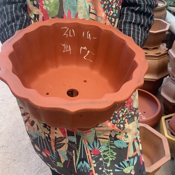 紫砂花盆自己的事情