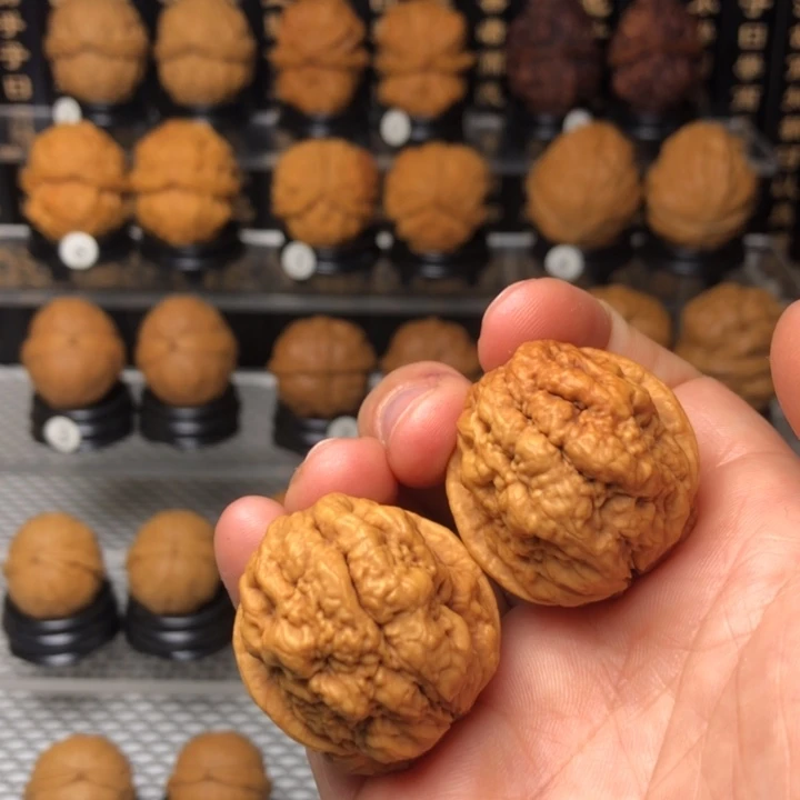 橄榄核把件37血舍利