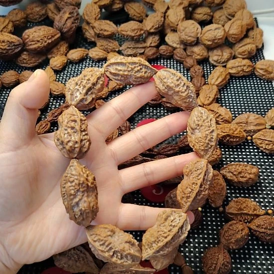 张***）吊坠文玩核桃佛光