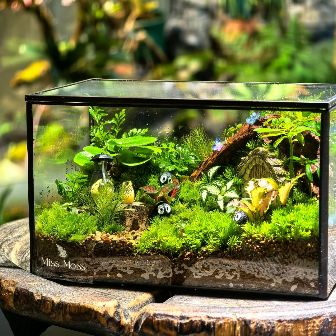 精灵几何森林苔藓微景观 桌面绿植 17cm.10cm.10.5cm