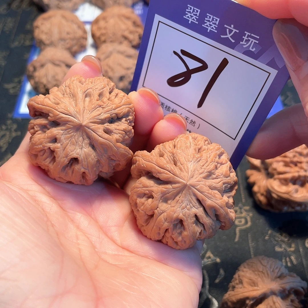 把件桃核81号全品粗筋4.1