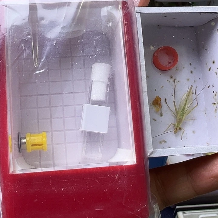 @***S蟋蟀哈哈哈哈哈哈哈哈哈哈哈