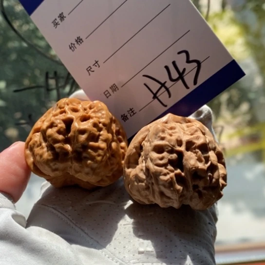 蔚***妻文玩核桃吊坠41蛤蟆头