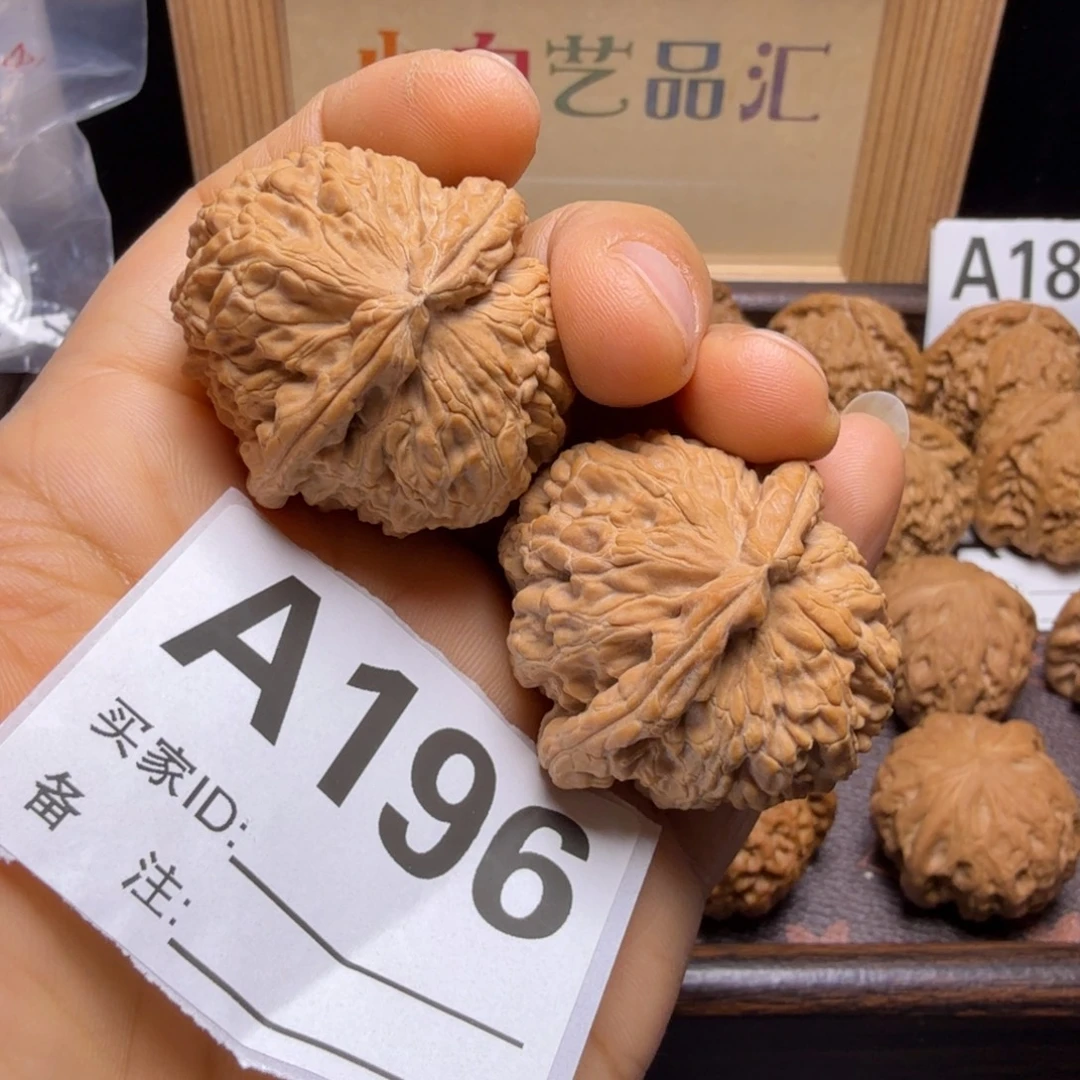 文玩核桃把件37尺白狮子A196