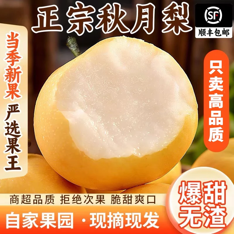 【顺丰包邮】正宗莱阳秋月梨5斤精选核心产区果园 爽脆甘甜果肉细腻