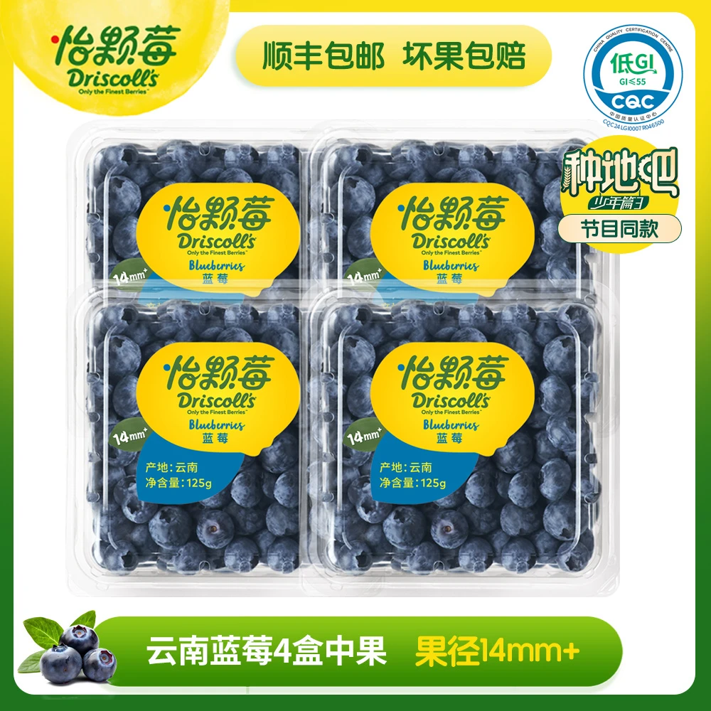 Driscoll's怡颗莓云南蓝莓（中果）单盒125克*4盒 花香蓝莓