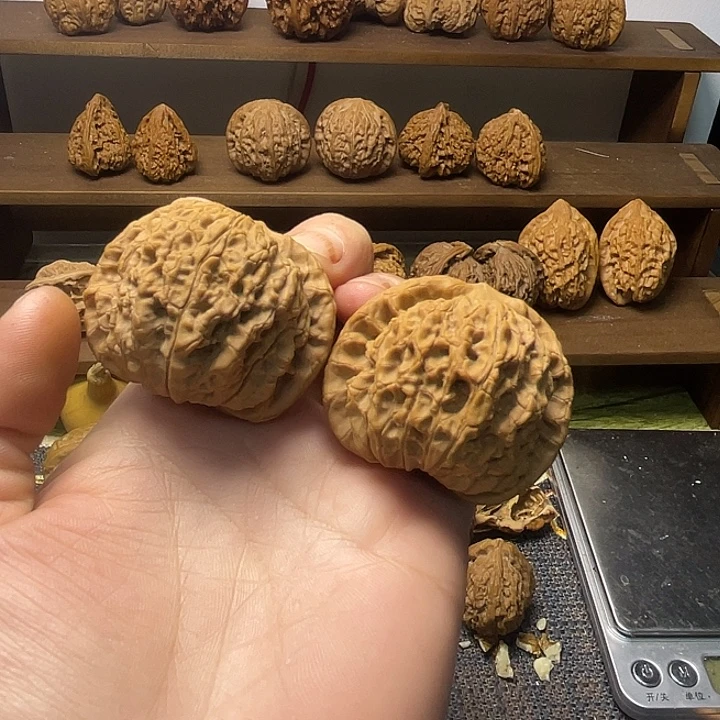 马老四全品45.41.38
