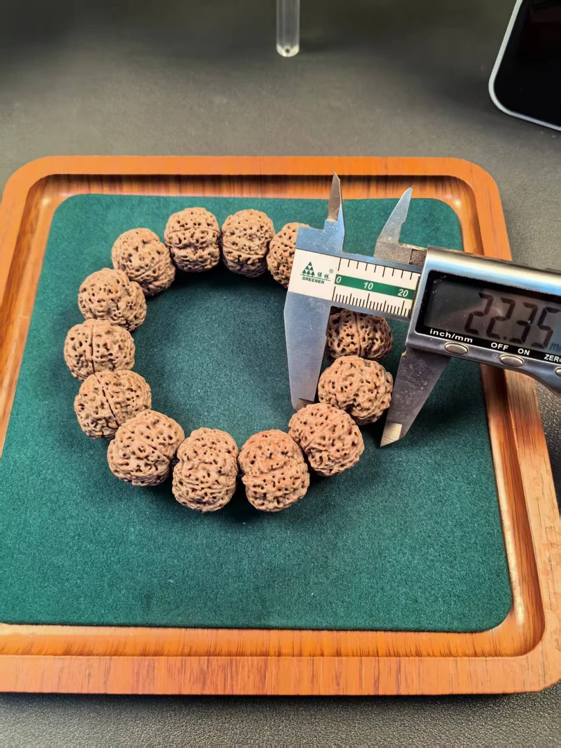 古龙熊猫蜂王菠萝蜜头货