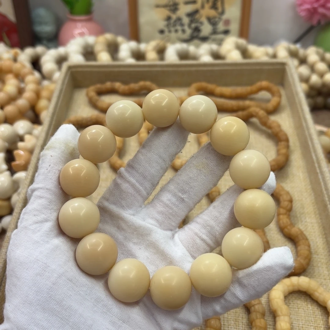 吊坠菩提根/象牙果20干磨瑕疵落地果505