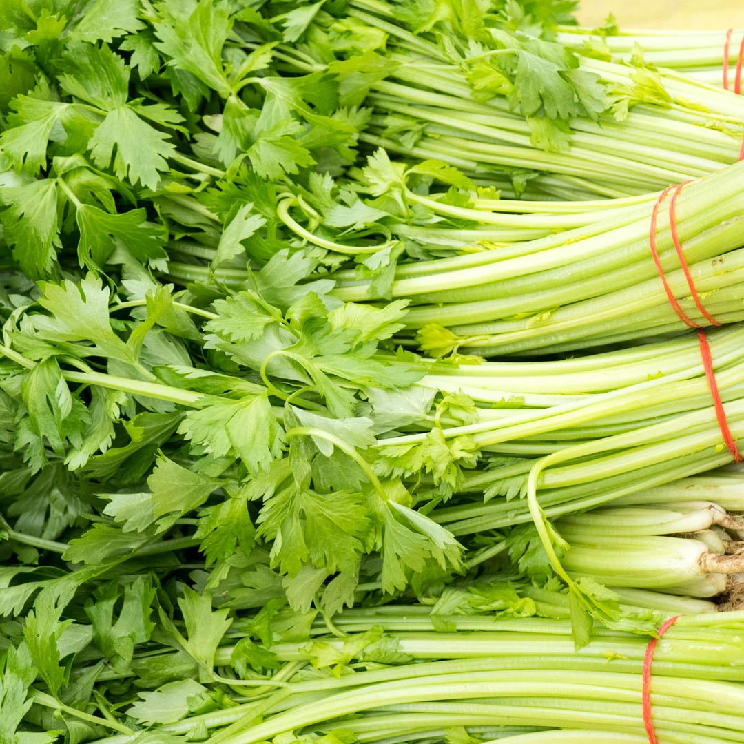 新鲜芹菜 约500g芹菜