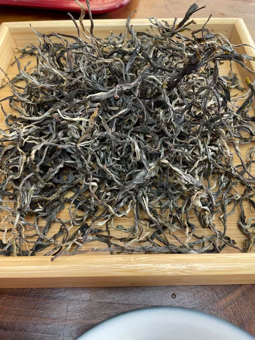 【2025】忙肺大树纯料