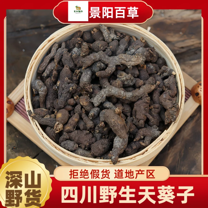 天葵子 四川天葵子大山里天魁子千年老鼠屎水洗天葵子另售山药