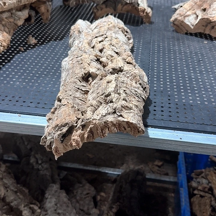 含***糊完全开放一物一拍一物一发