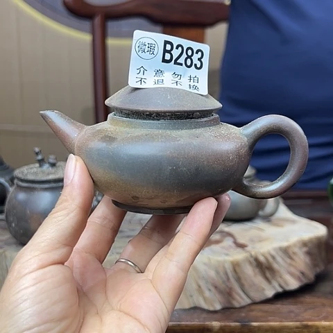 留***语戬谷龙窑柴烧茶壶283