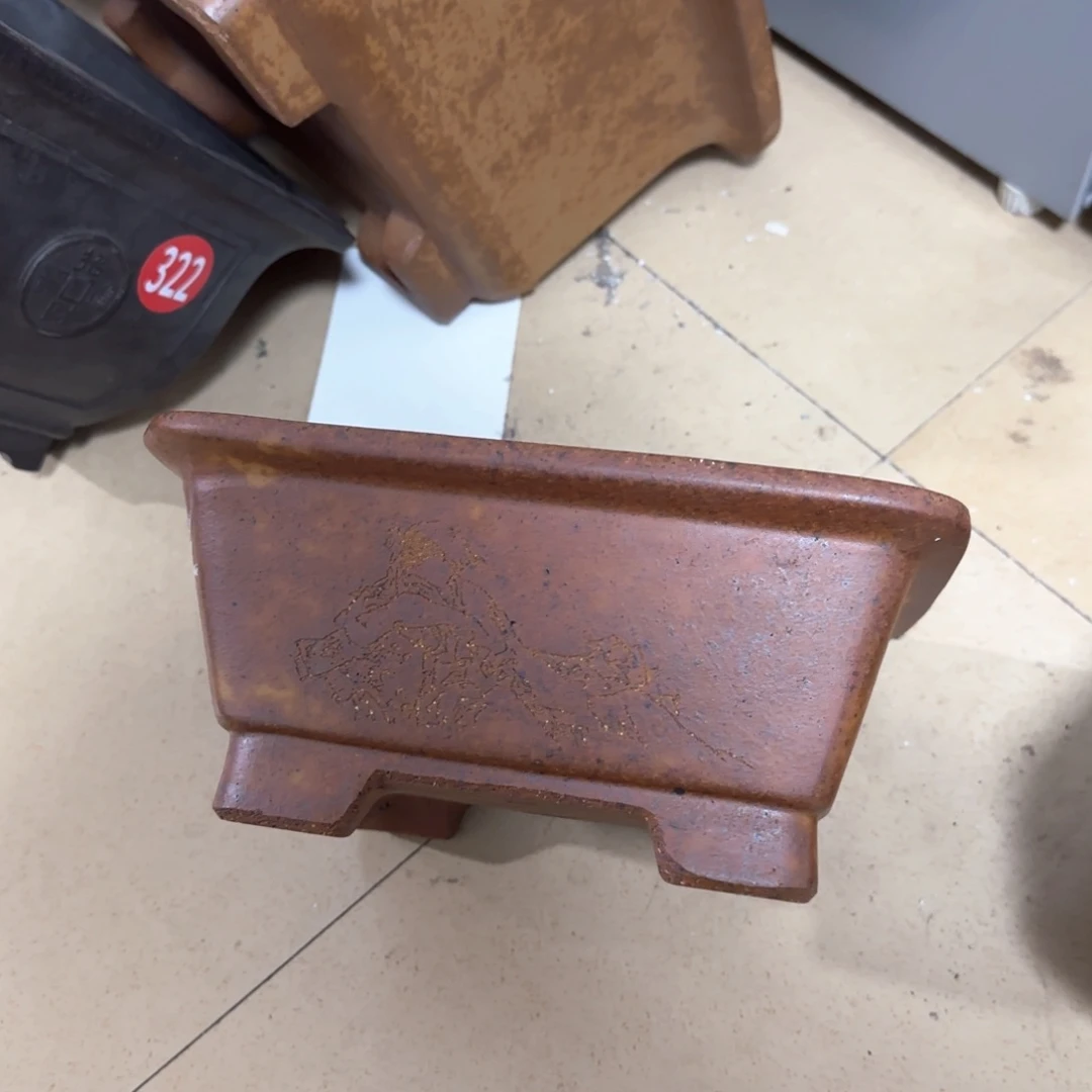 紫砂花盆我呜呜呜呜呜我的