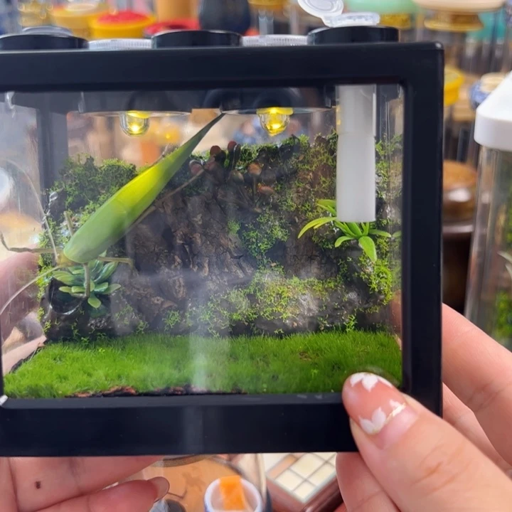 哈哈哈生态箱带素背