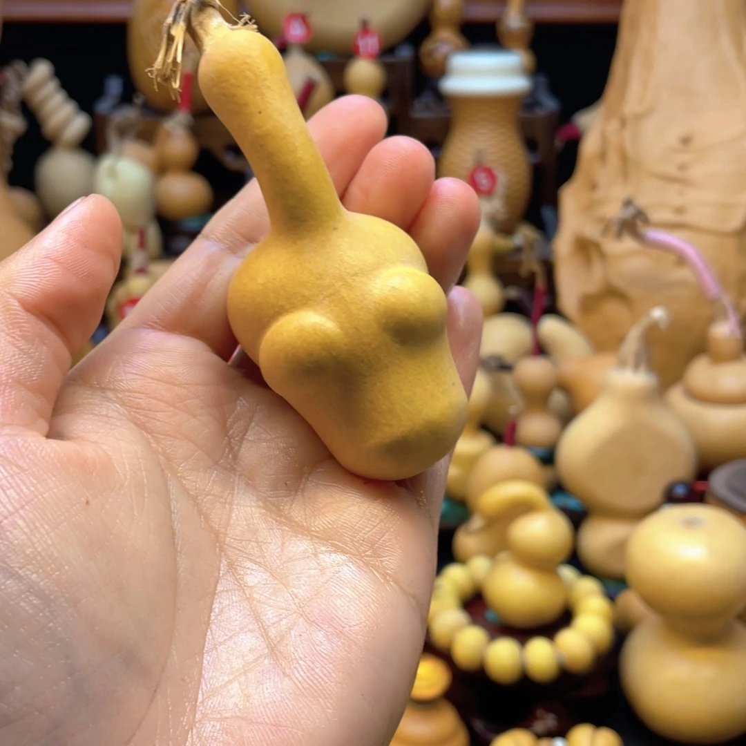 抖****生大自然的秘密第十一节的