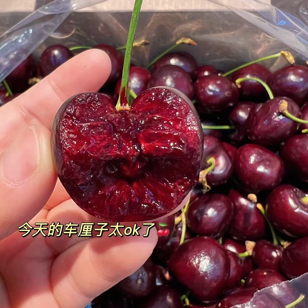 智利车厘子拉宾斯 4JD 硬 脆 甜 原箱5斤装