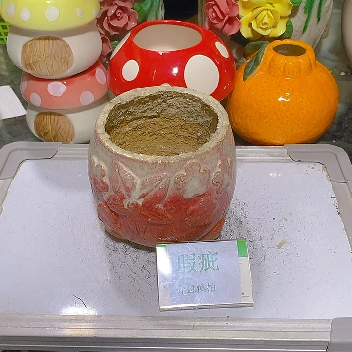 摆件多肉瑕疵盆有孔