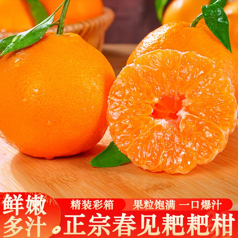 四川精品春见耙耙柑产地直发鲜甜可口