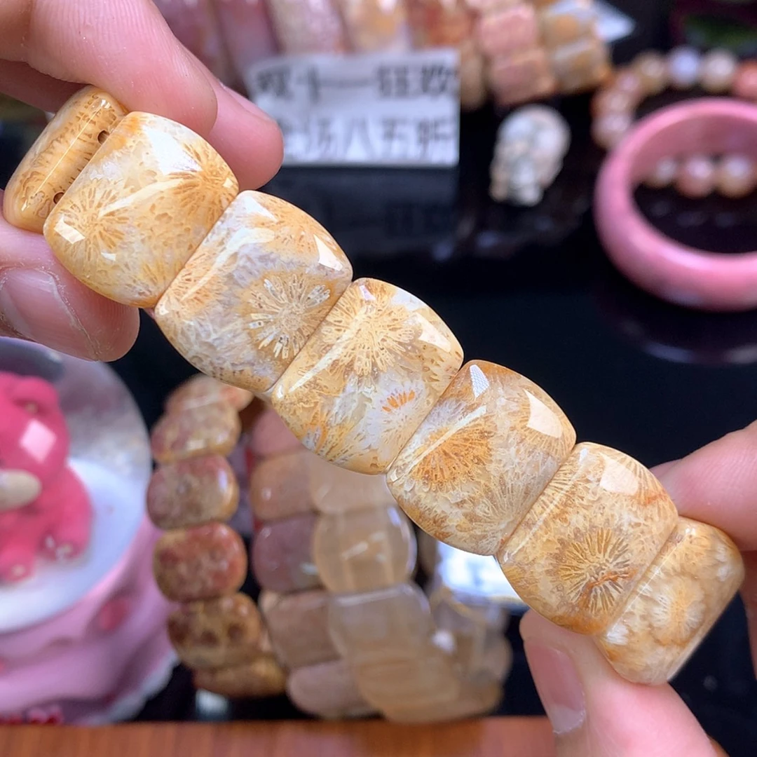 【闪购商品】颈饰未镶嵌硅化珊瑚（珊瑚玉）95号金赞比绝绝子