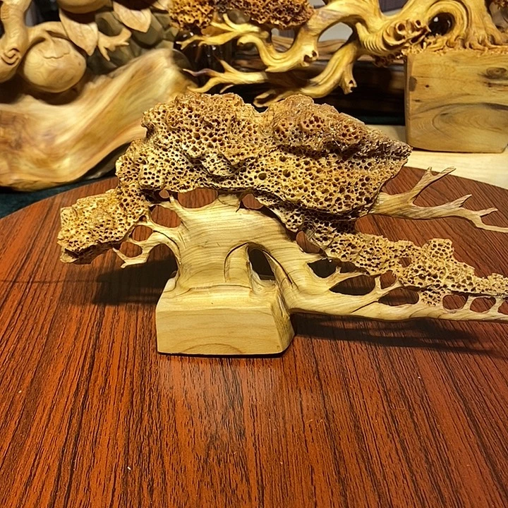 霸***姬柏木发财树