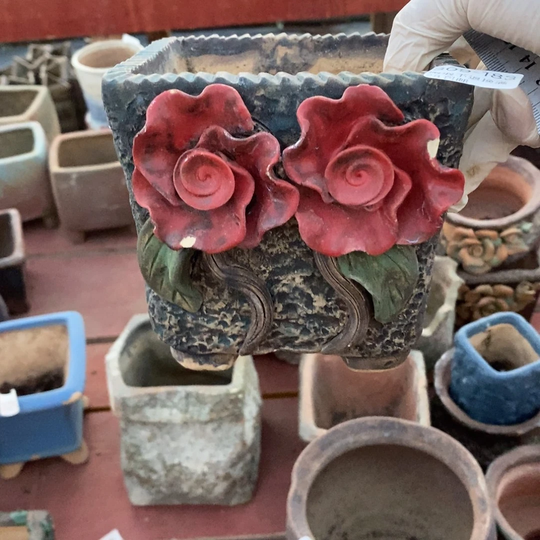 红陶往**烟183号多肉盆一号呀