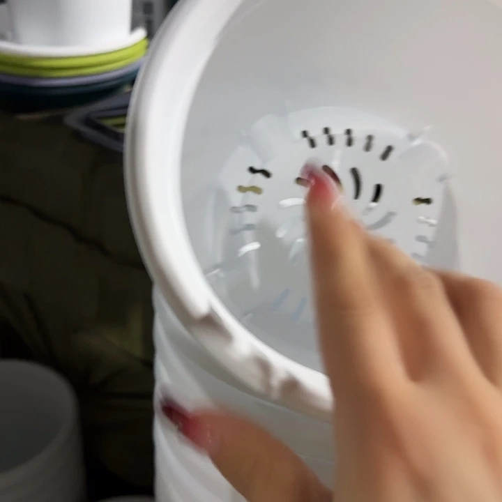 四季3号纯白无托10个特价微瑕