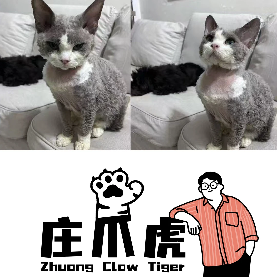 庄爪虎专用wb猫咪罐头餐盒餐包福利