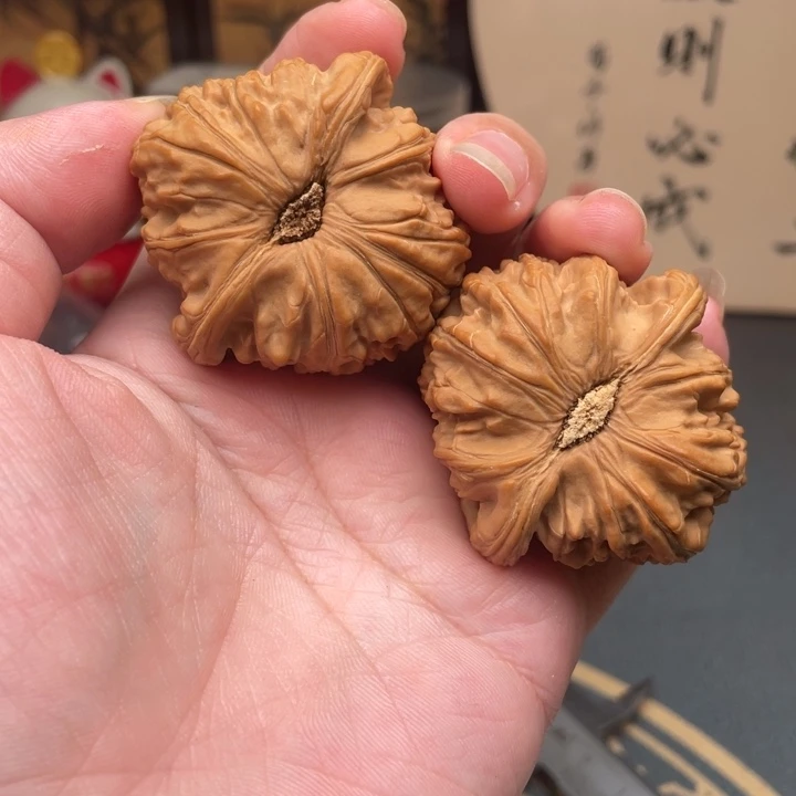 核桃43全品微瑕白狮子