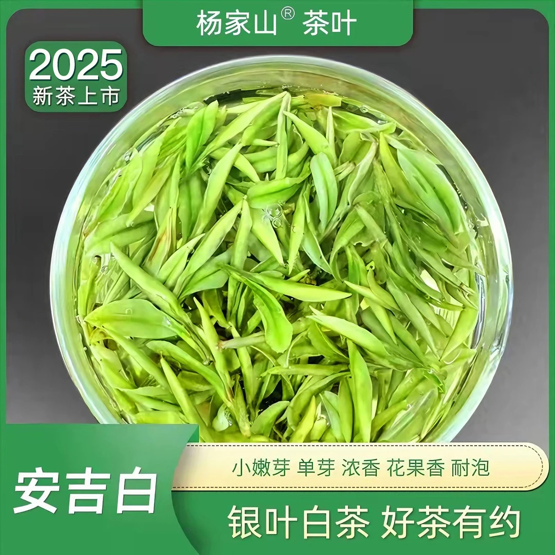5号【精品贵芽】25年浙江原产地春茶安吉新茶叶官方正品白茶