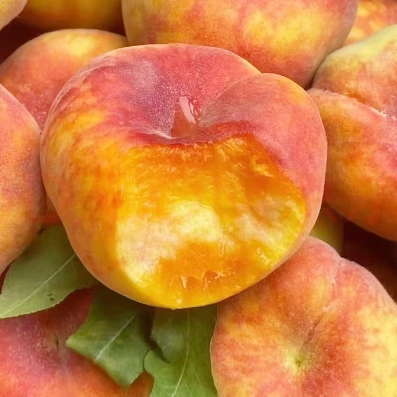 丹江口杏花村毛蟠桃4.5斤约12-16个