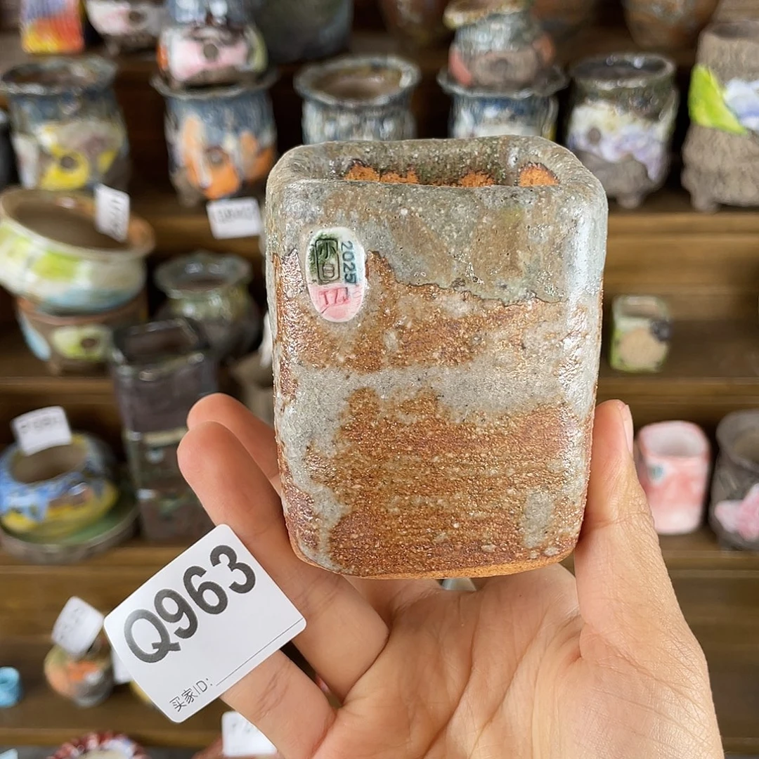 双十一限时福利 内口5左右