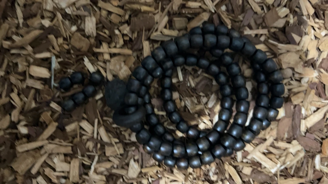 沉香x253 福莱精选高端文玩