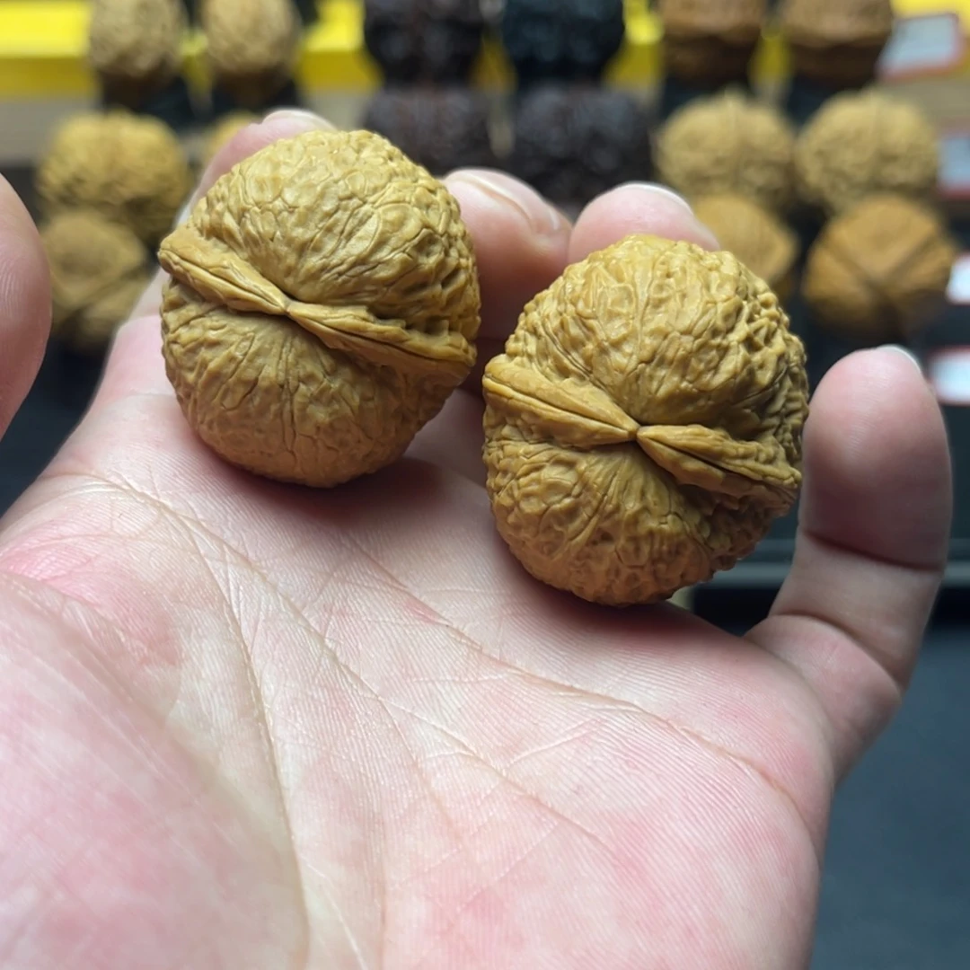 36尺寸光头强 克重37