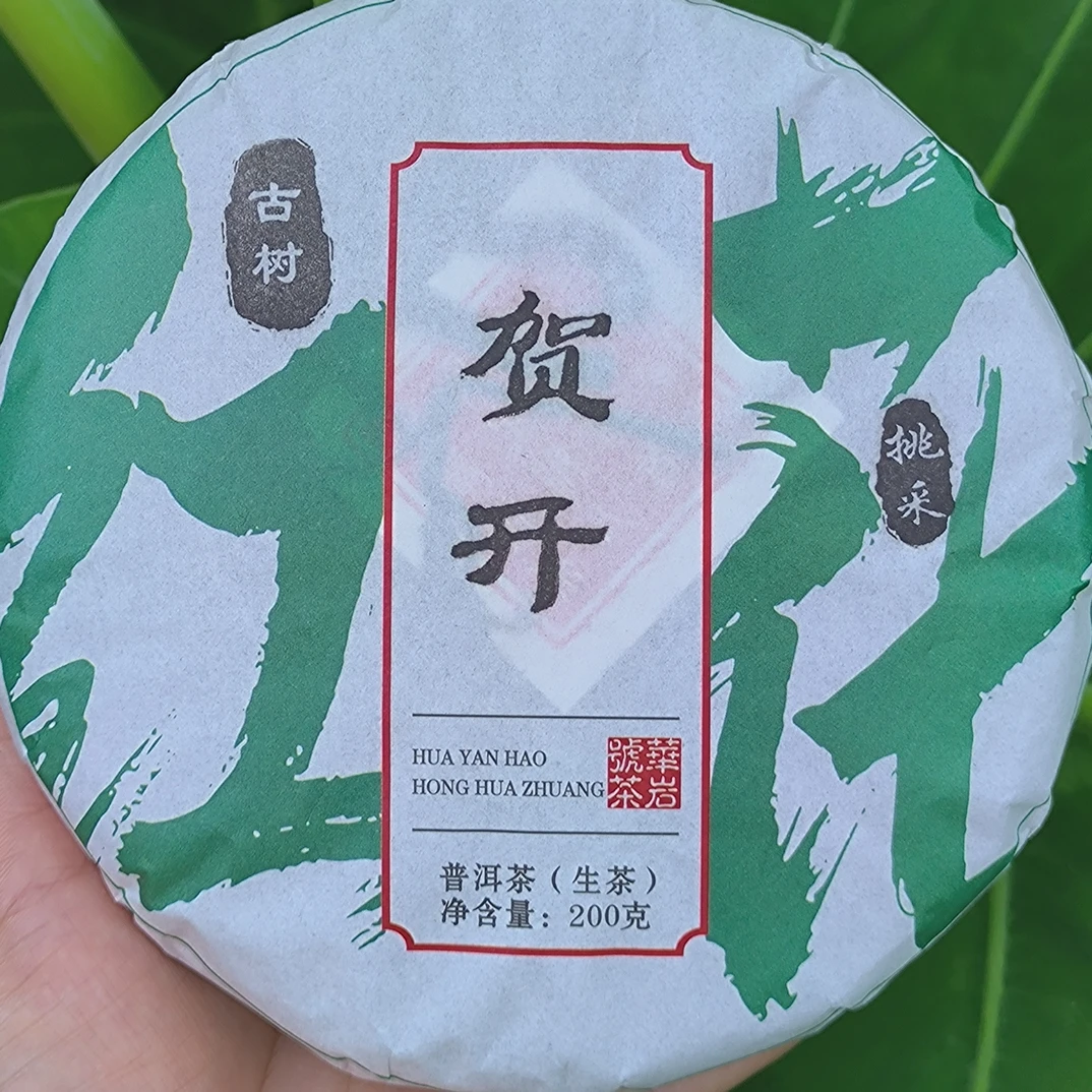 2024头春头采《贺开挑采古树》200克饼