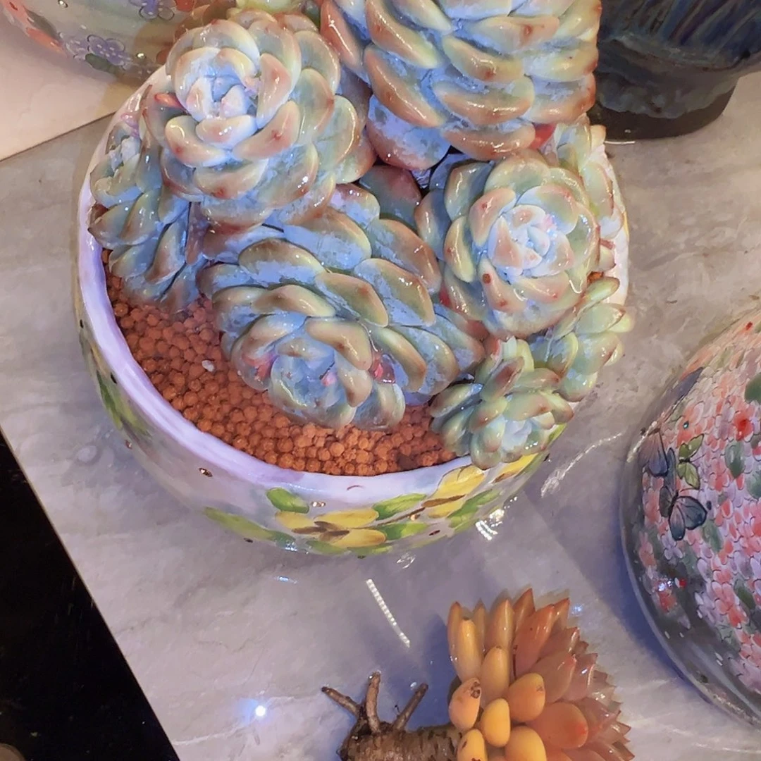 冰玉冰玉冰玉冰玉