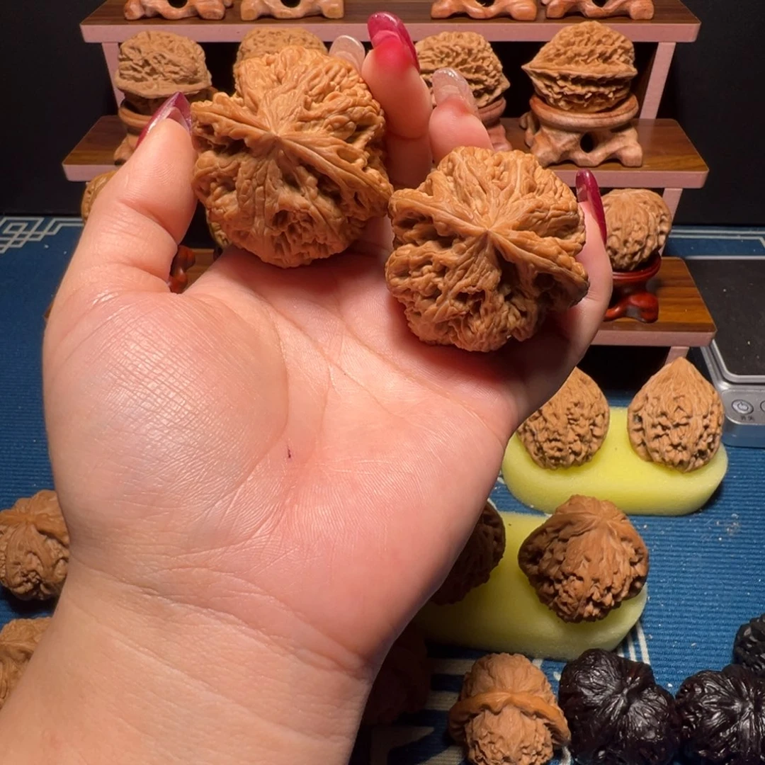 无***忧木质全品无修大粗筋