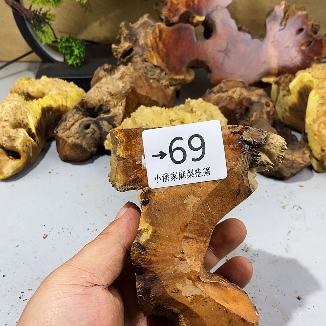 木杀****丑麻梨疙瘩