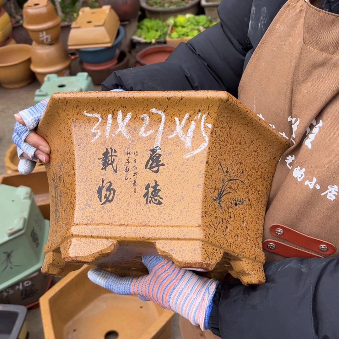 紫砂花盆盆景艺术