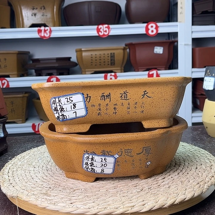花盆紫砂你在一起