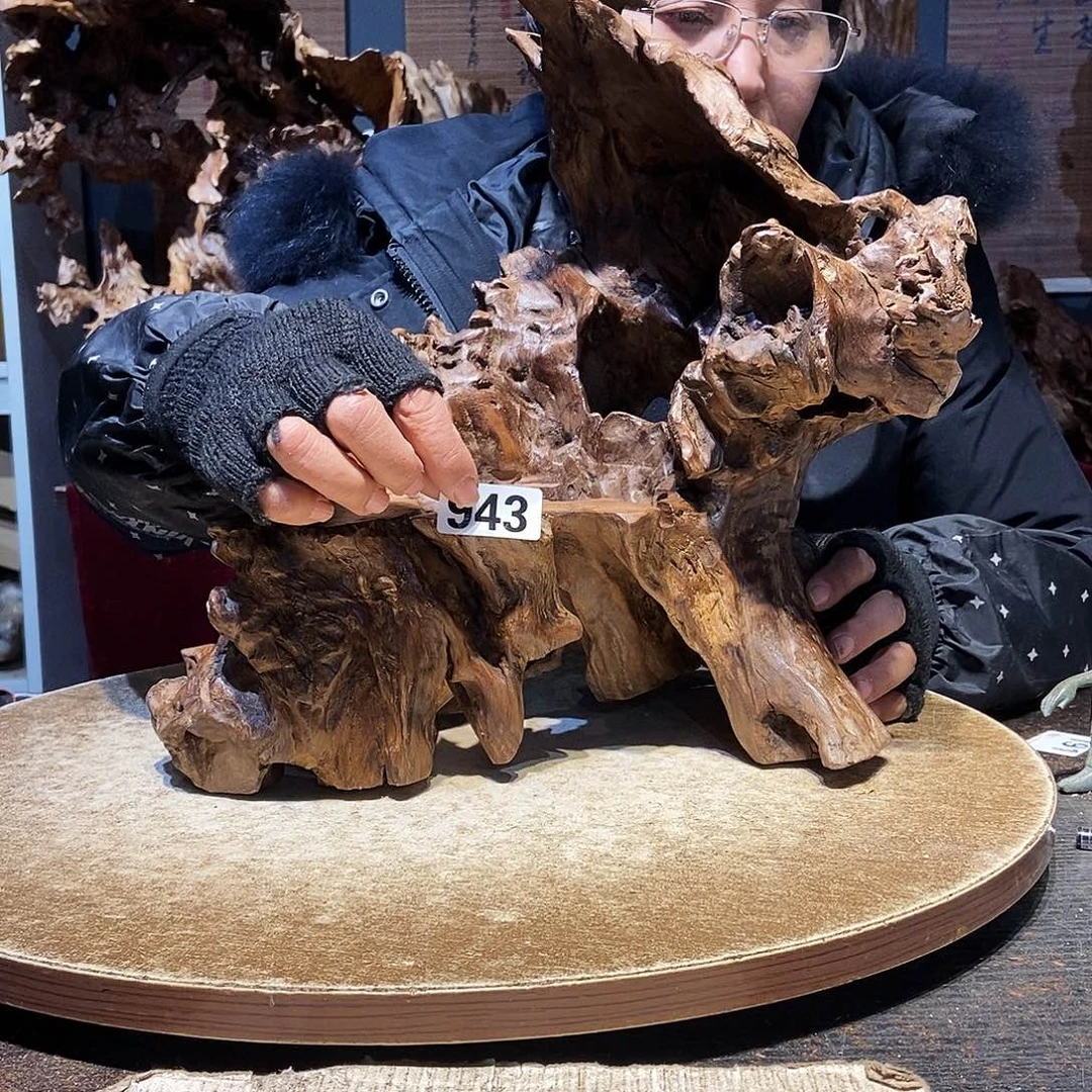 知***沐943。株木随行根艺