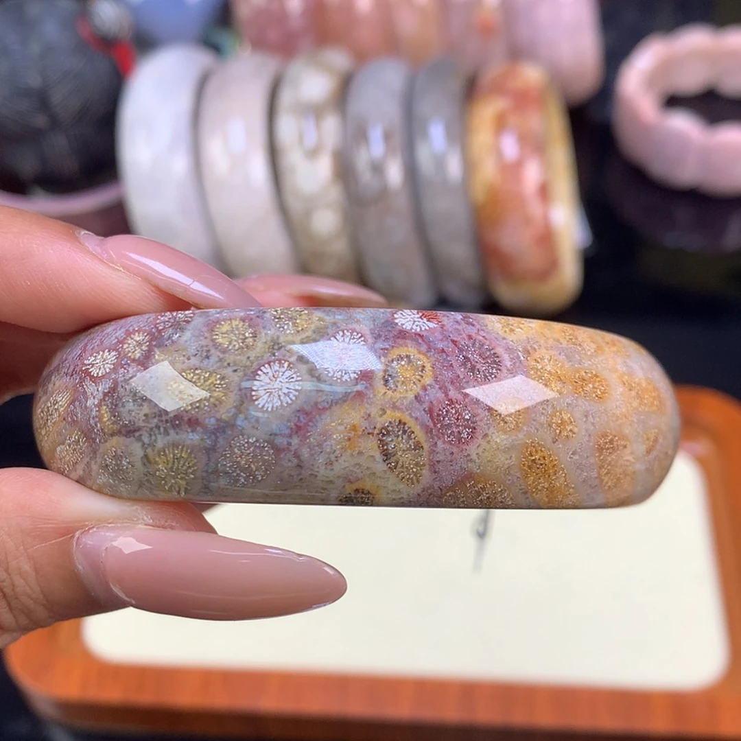 【闪购商品】颈饰未镶嵌硅化珊瑚（珊瑚玉）22号 60.8