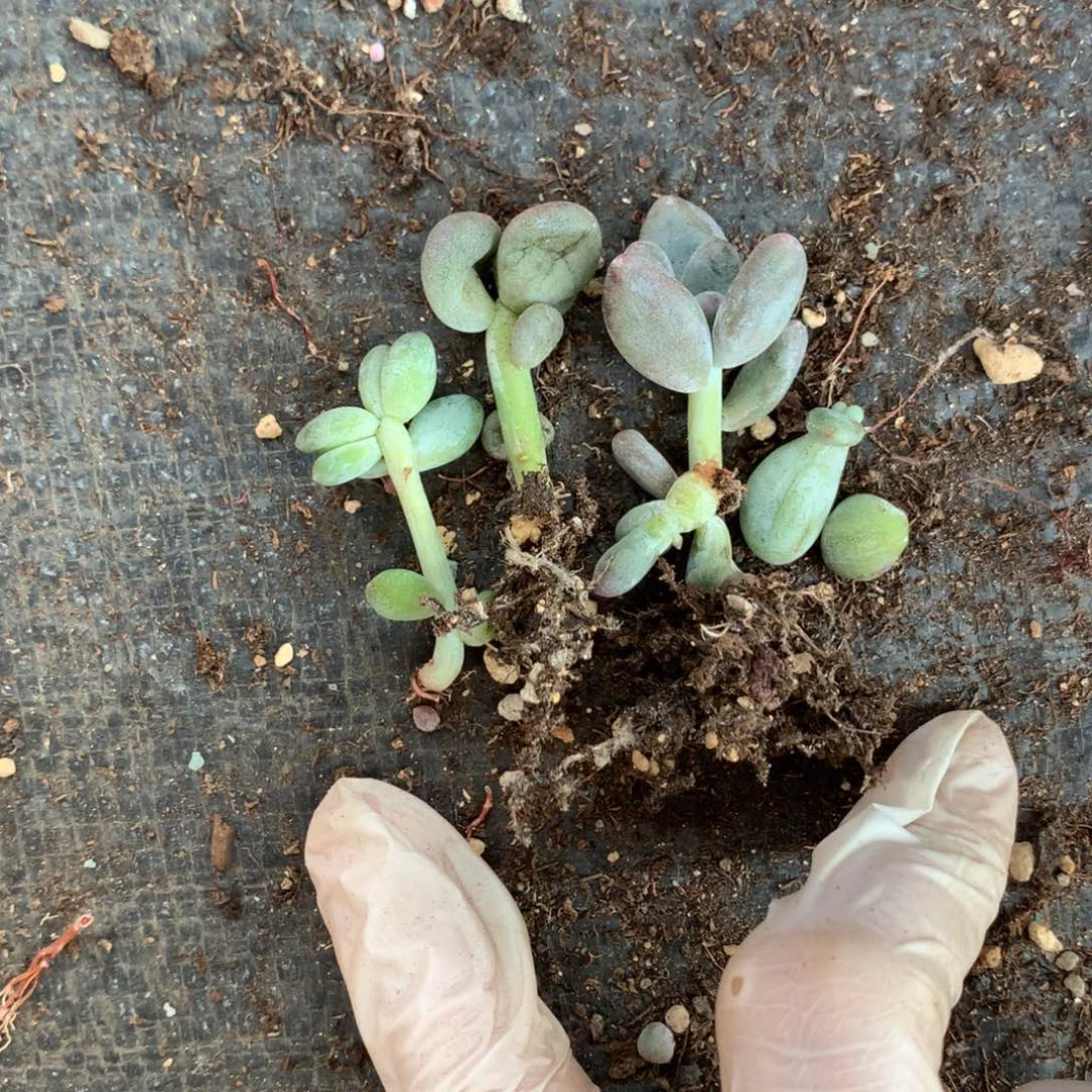 一起瑕疵特价无售后
