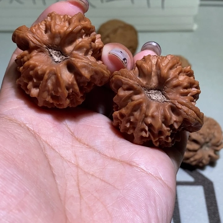 阳***文手串/手链核桃大龙