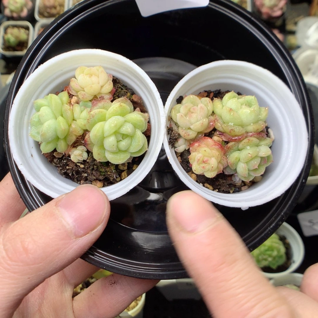 S67uu uy y yy y y